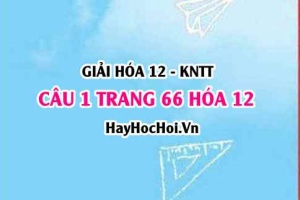 Giải câu 1 luyện tập trang 66 Hóa 12 Kết nối tri thức SGK